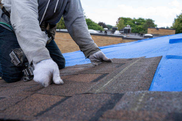 Best Emergency Roof Repair  in Meridian Village, CO