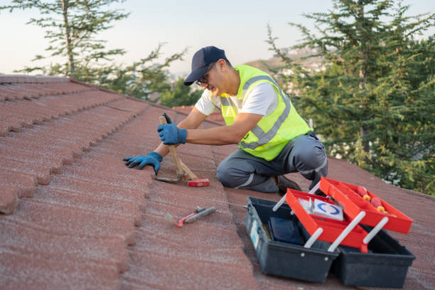 Roof Repair Estimates in Meridian Village, CO