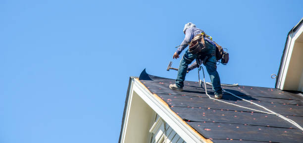 Best Roof Maintenance Services  in Meridian Village, CO